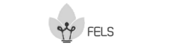 Fels